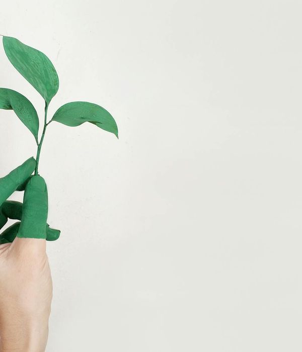 A minimalist drawing of a plant growing upwards symbolizing personal growth.